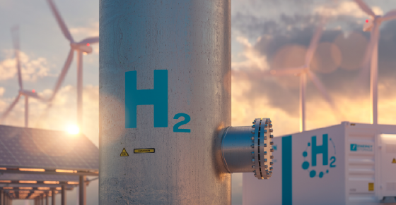 UAE Accelerates Green Hydrogen Production to Achieve National Energy Goals